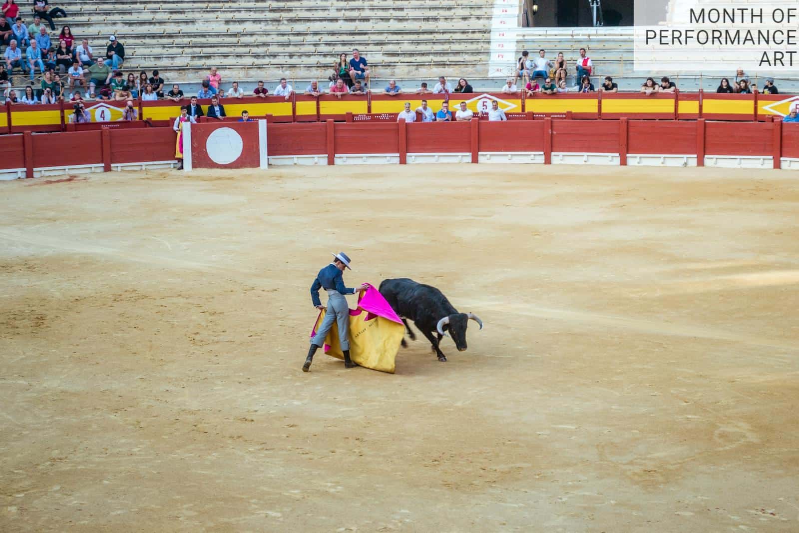 Plazas de toros: historia, arquitectura e impacto cultural en España