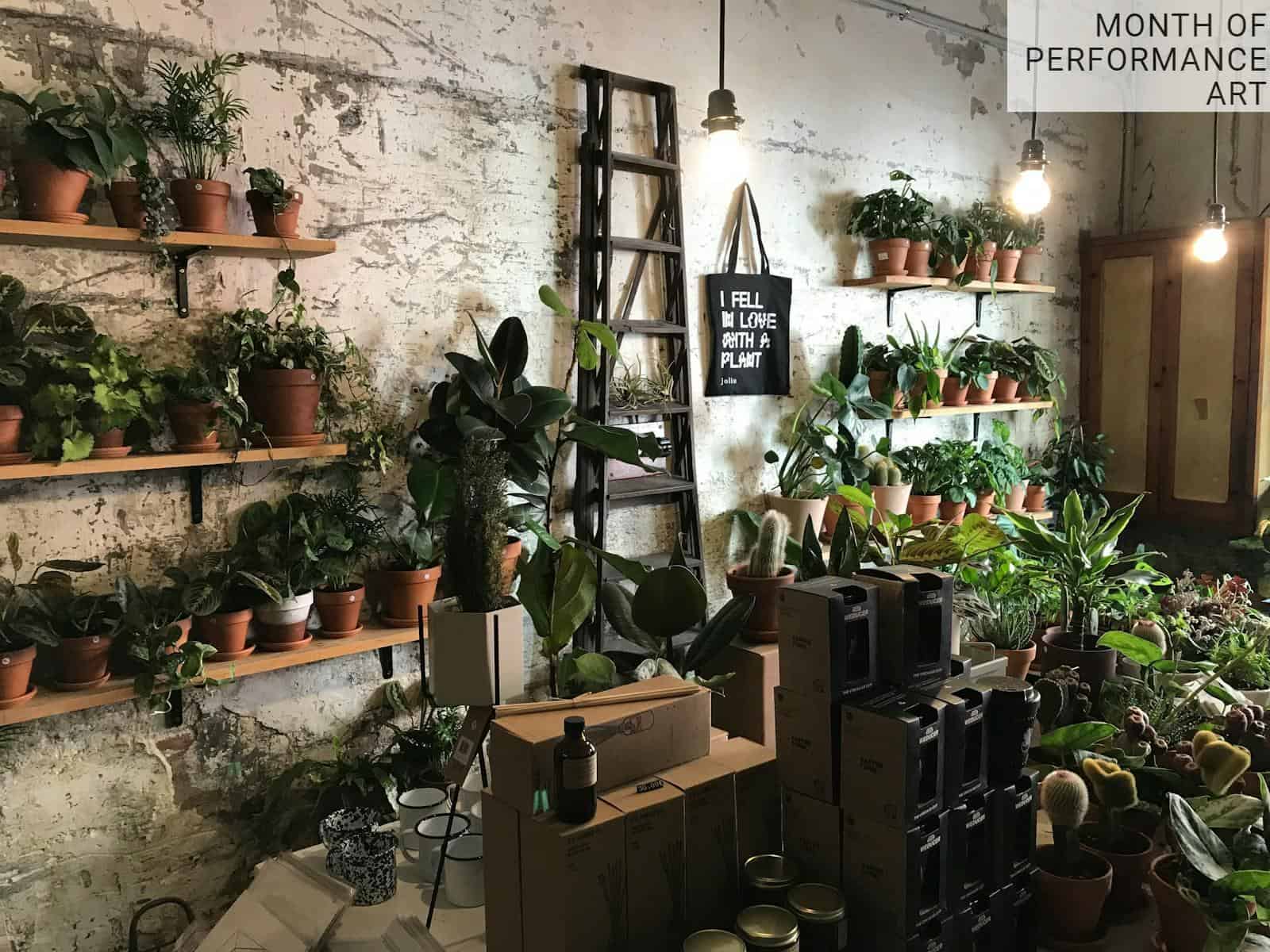 Artículos de ocio de un grow shop